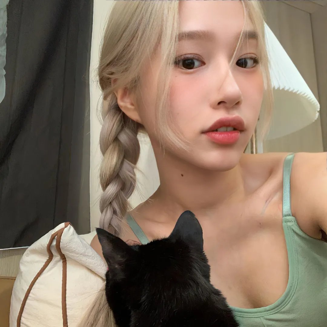 你是猪