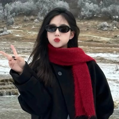 纳粹特攻队